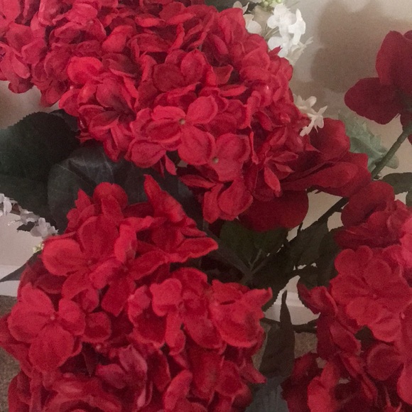 Meet your Posher, Florancia - Picture 1 of 1